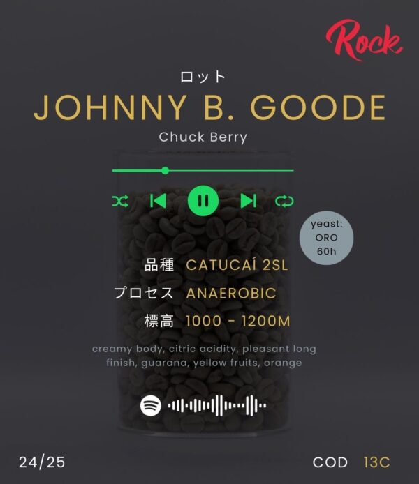 JOHNNY B. GOODE - Image 2