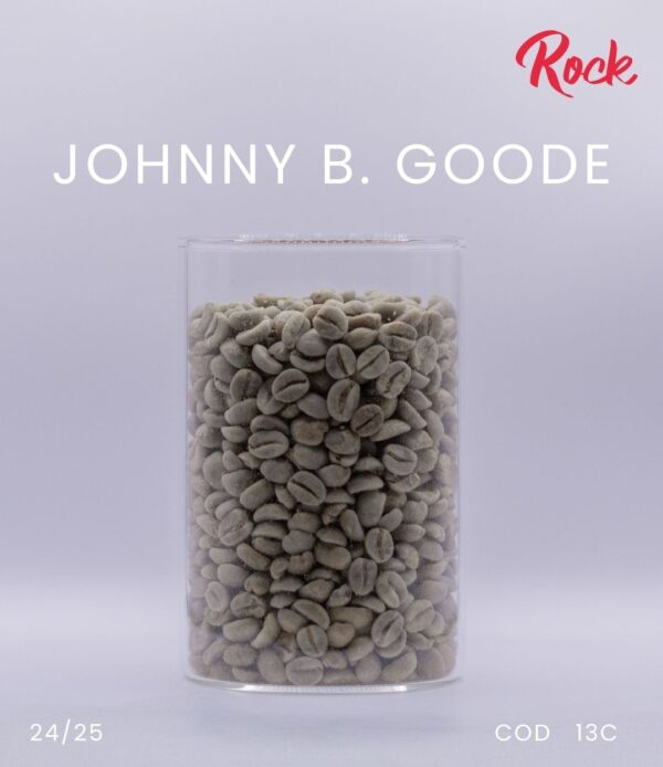 JOHNNY B. GOODE - Image 3