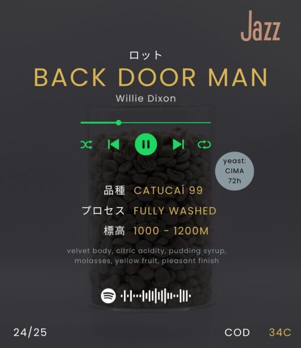 BACK DOOR MAN - Image 2