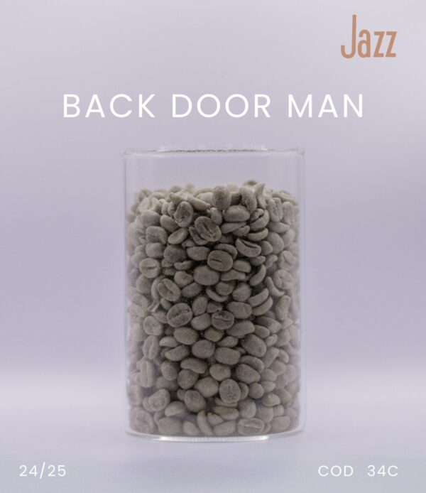 BACK DOOR MAN - Image 3