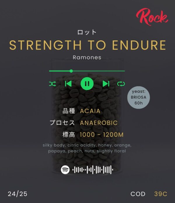 STRENGTH TO ENDURE - Image 2