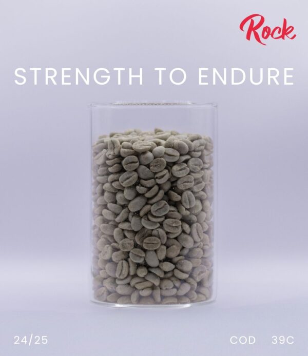 STRENGTH TO ENDURE - Image 3