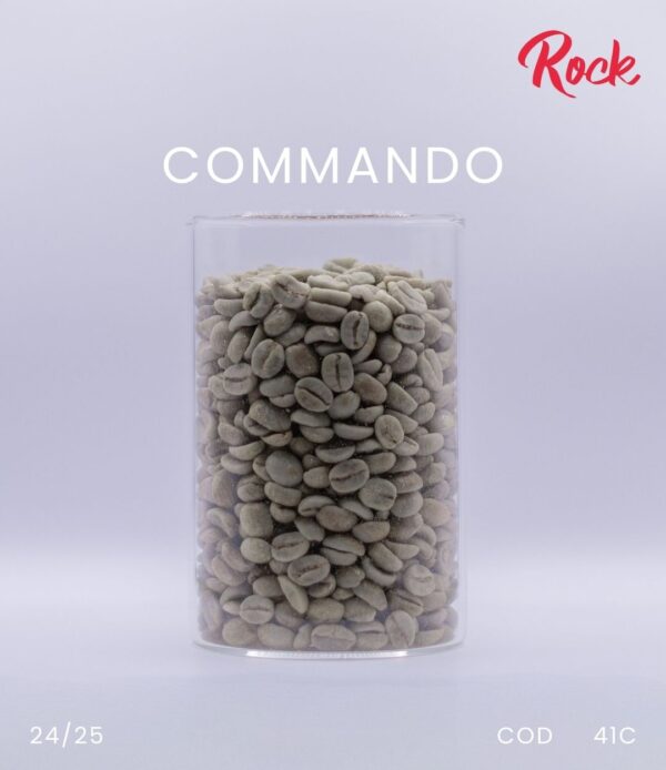 COMMANDO - Image 3