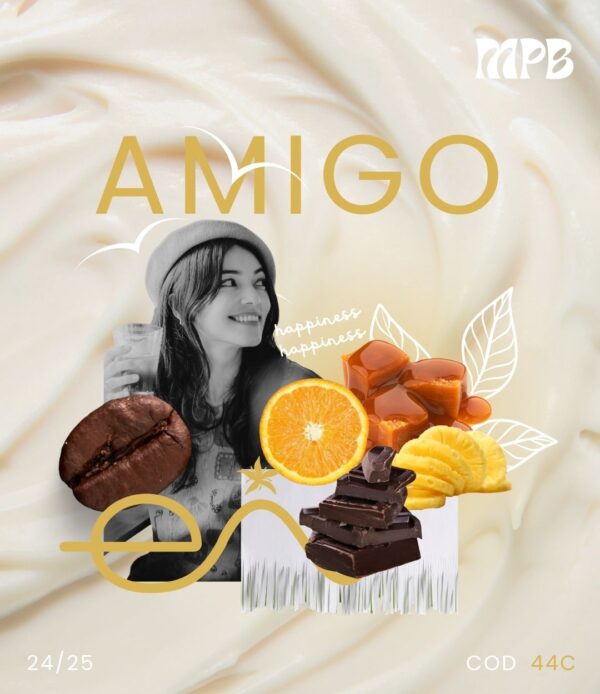 AMIGO