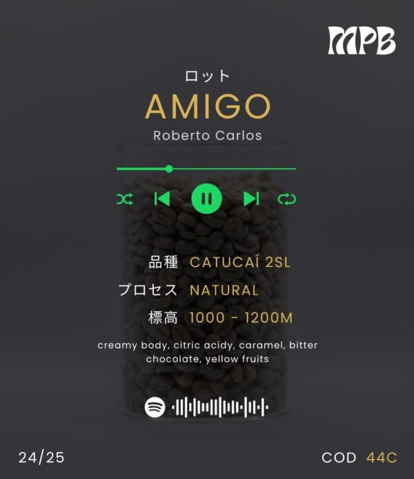 AMIGO - Image 2
