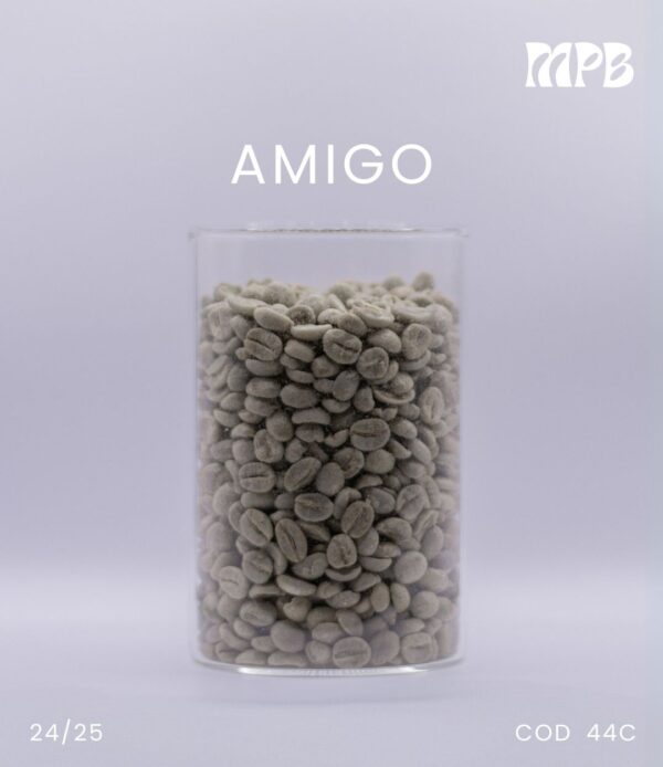 AMIGO - Image 3