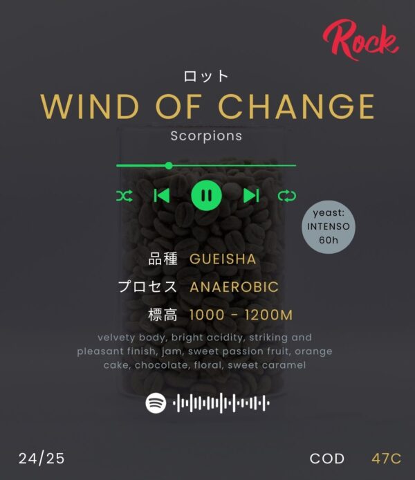 WIND OF CHANGE - Image 2