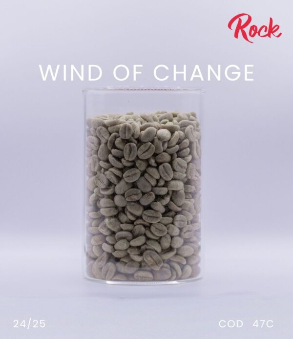 WIND OF CHANGE - Image 3
