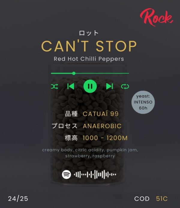 CAN'T STOP - Image 2