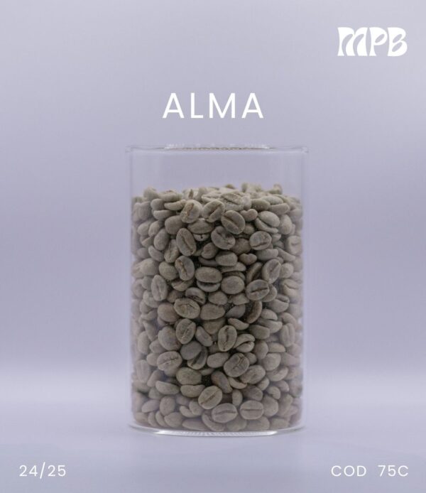 ALMA - Image 3